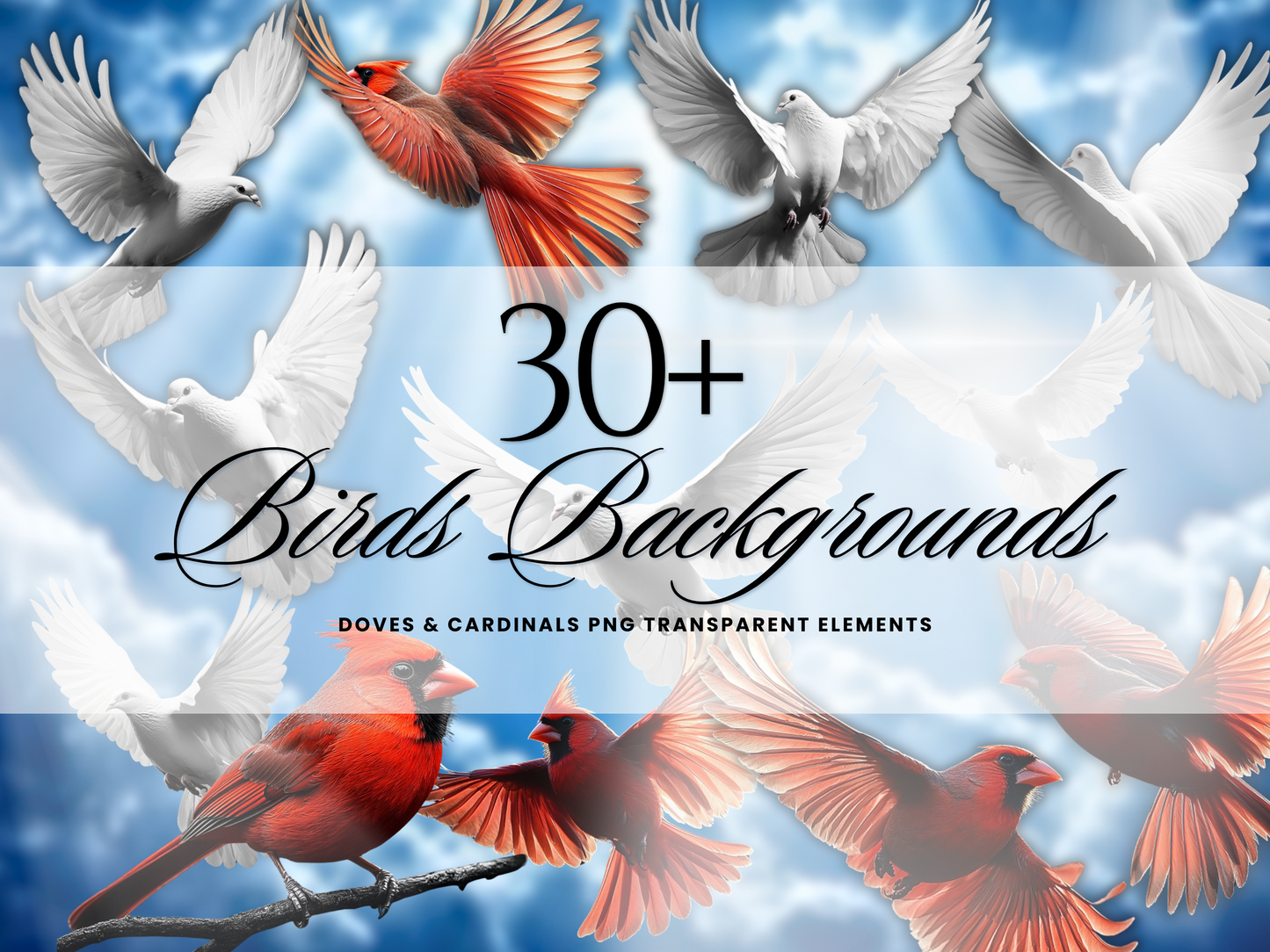 30+ Bird Graphic Elements ( Transparent PNG)